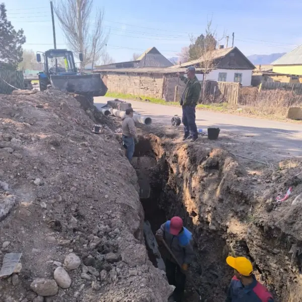 487779569 18025203149666648 4368234131805037434 n