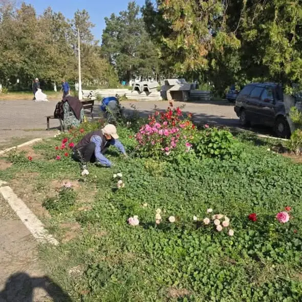 548006984 18063484412610531 1873330850372530404 n